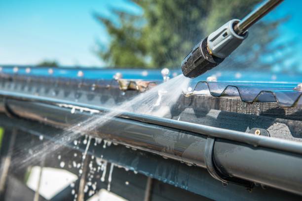 Best Exterior Home Cleaning  in Colona, IL