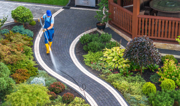 Best Concrete Pressure Washing  in Colona, IL